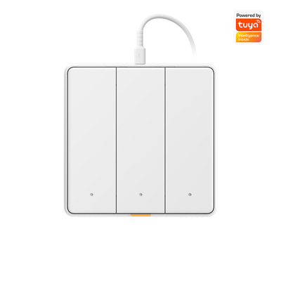 Tuya WIFI टच स्विच टाइप सी टाइमिंग वॉयस ऐप के साथ स्मार्ट होम एलेक्सा, गूगल होम आरएफ 433 स्मार्ट ईयू वॉल लाइट बटन स्विच