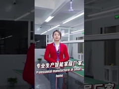 उत्पाद उत्पादन लाइन